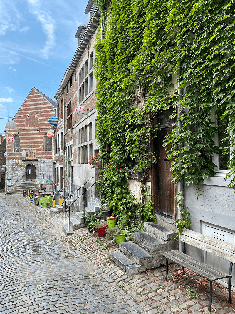Petite rue sur les hauteurs de Liège avec une façade recouverte de vigne vierge.