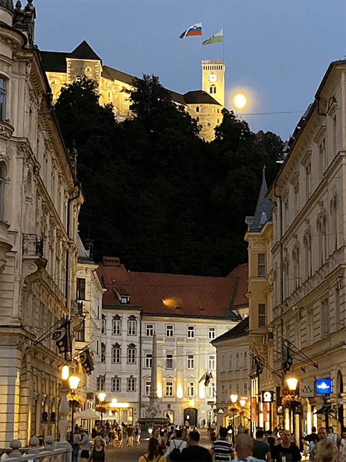 Vue château Ljubjana
