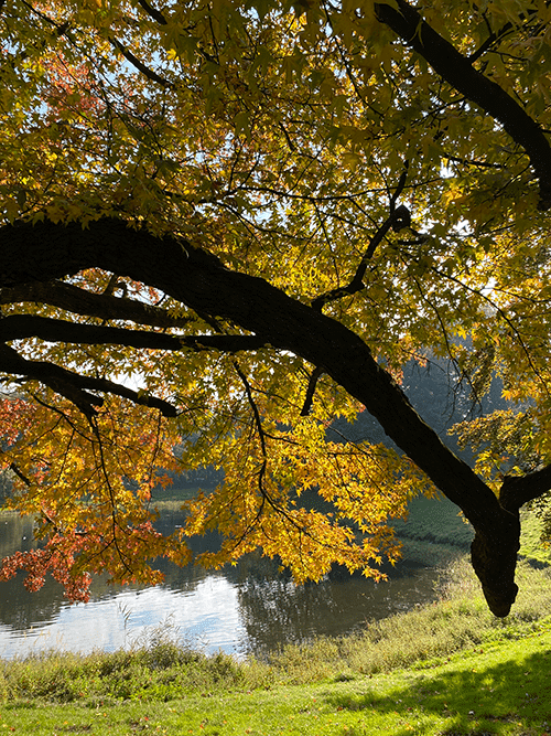 parc Visiter Anvers