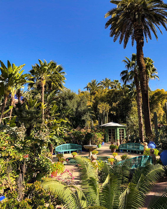 La végétation luxuriante du Jardin Majorelle de Marrakech