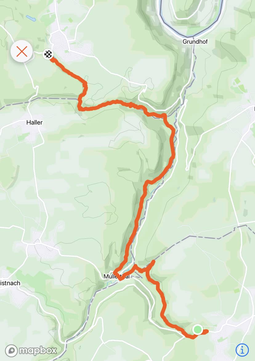 7 bonnes raisons de faire une randonnée sur le Mullerthal Trail en 2022