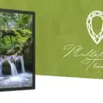Mullerthal trail, cascade sur le parcours