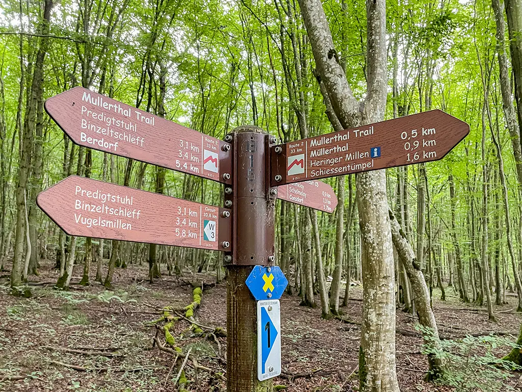 7 bonnes raisons de faire une randonnée sur le Mullerthal Trail en 2022