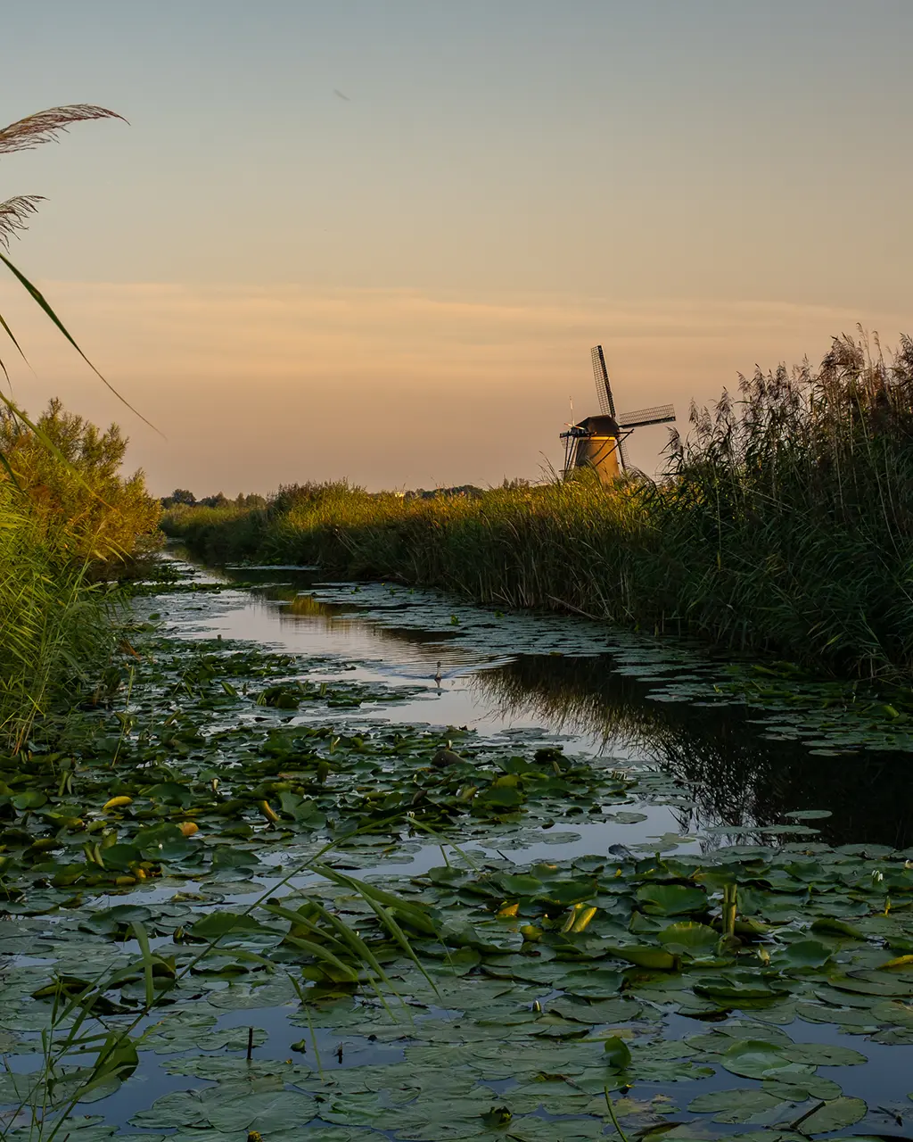 Les Moulins de Kinderdijk : un guide pour le voyageur curieux