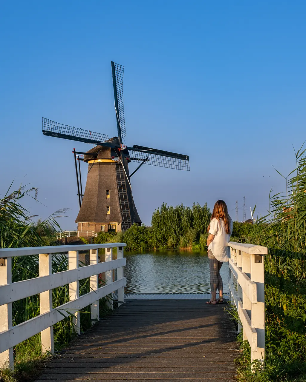 les moulins de Kinderdijk près de Rotterdam