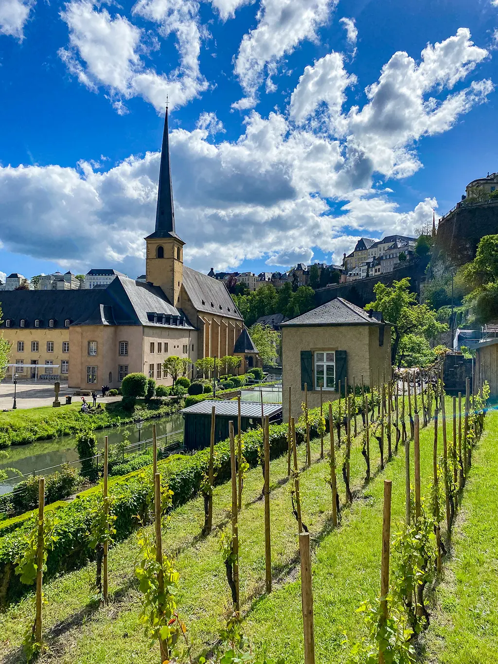 Vignes et l'église abbatiale de Neumünster à Luxembourg-ville