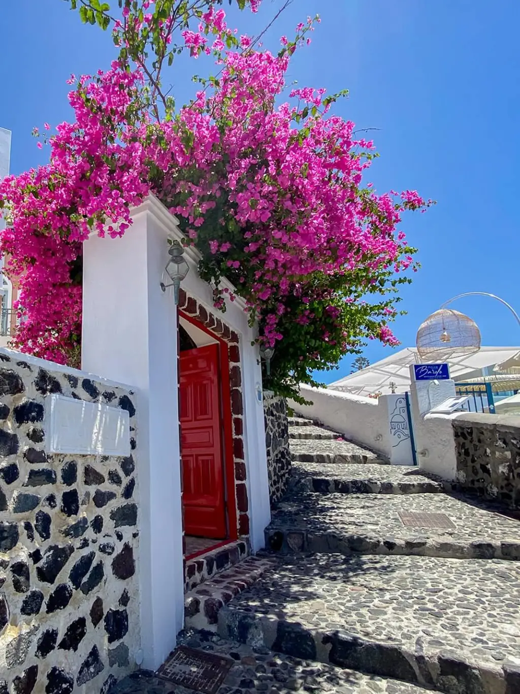Bougainvillier rose à l'entrée d'une maison sur l'île de Santorin