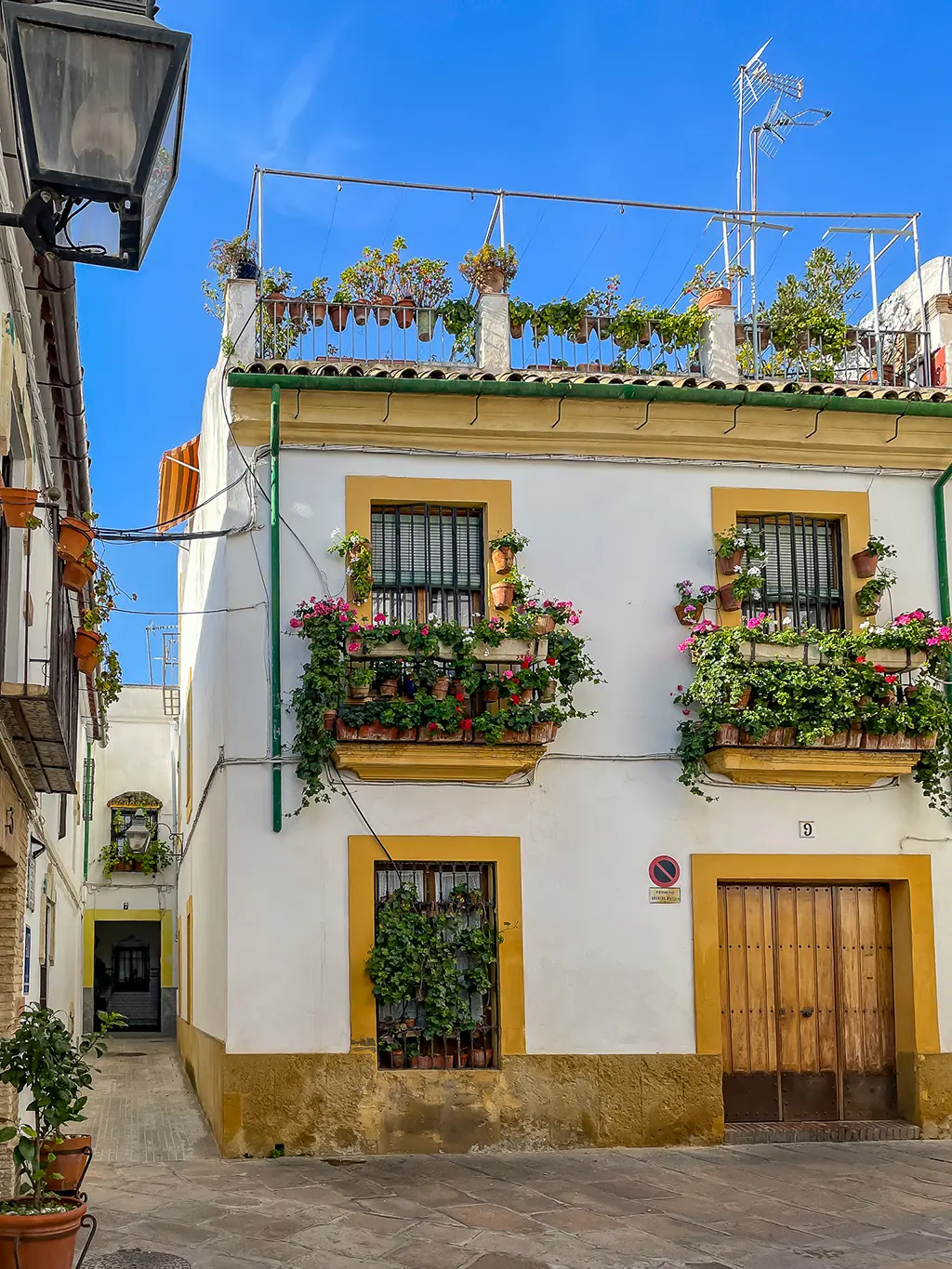 petite rue colorée dans le centre de Cordoue en Andalousie