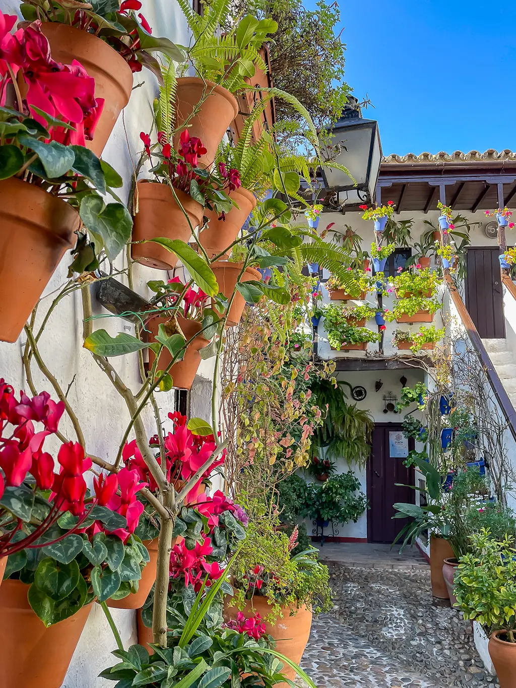 patio fleuri dans le quartier de San Basilio à Cordoue