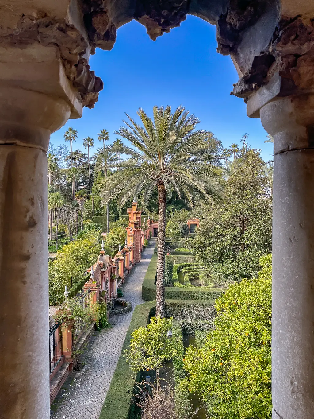 les jardins de l'Alcazar de Séville