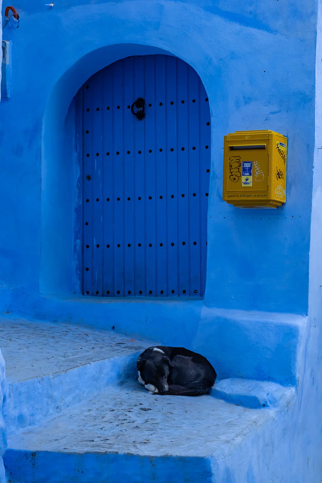 Que faire à Chefchaouen en 2 jours, la perle bleue du Maroc