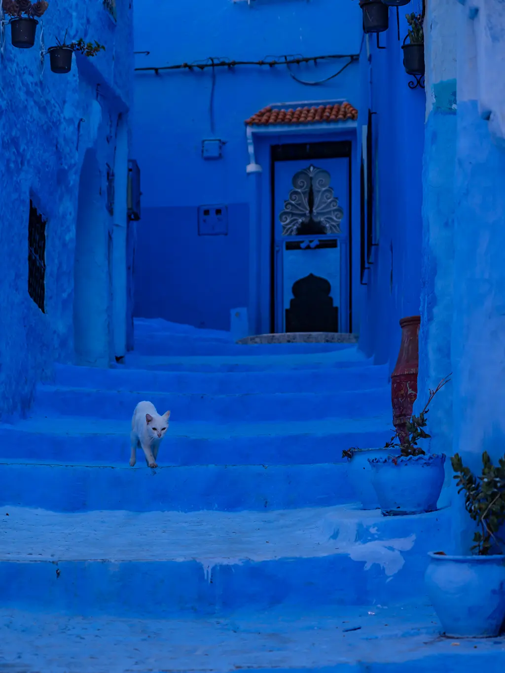 Que faire à Chefchaouen en 2 jours, la perle bleue du Maroc