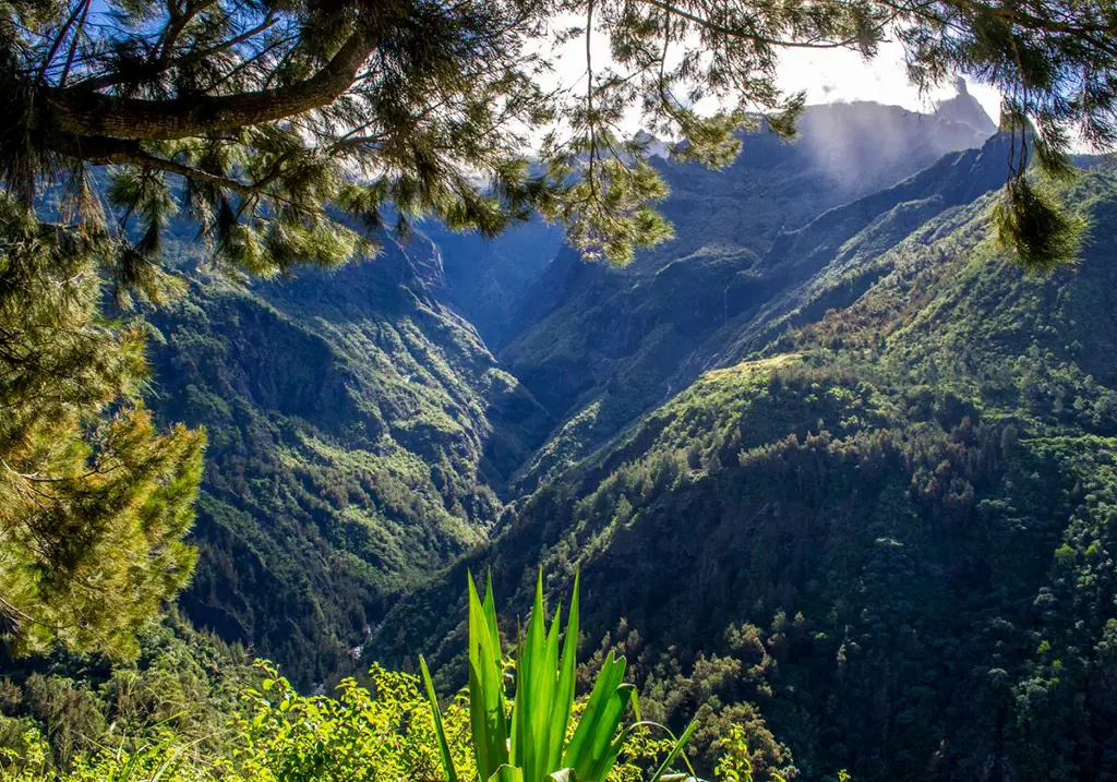 L'île de la Réunion : un dépaysement enchanteur entre mer et montagne