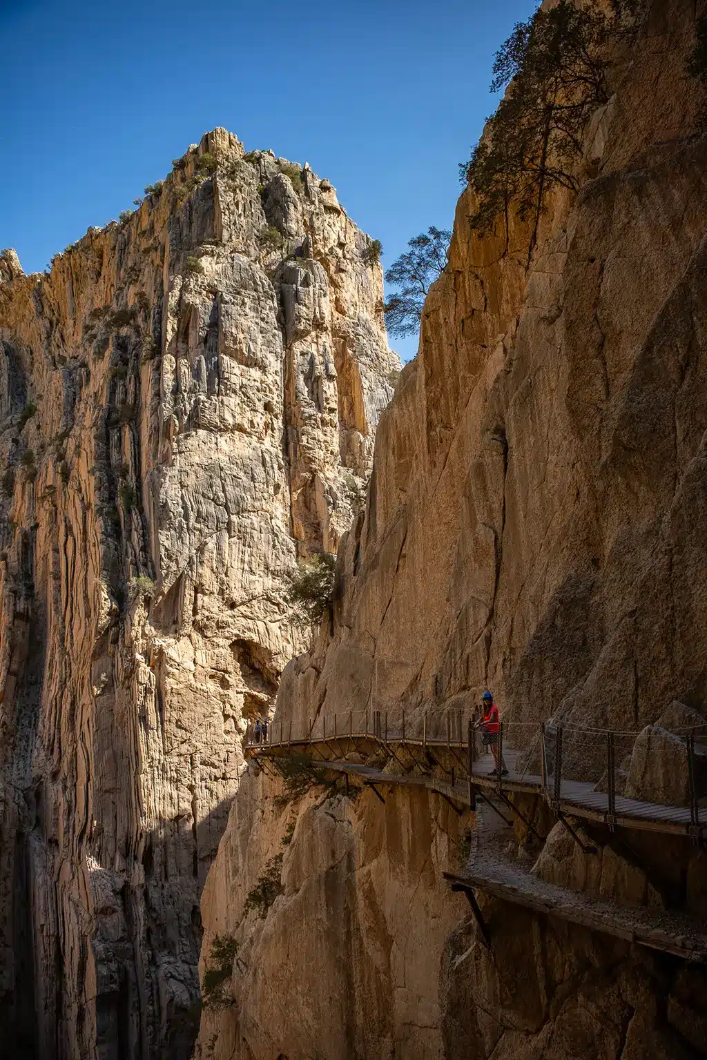 Que faire en Andalousie : 10 activités originales à découvrir