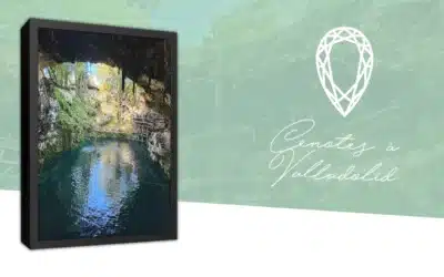 Les 7 plus beaux cénotes à Valladolid (Yucatan) – guide 2025