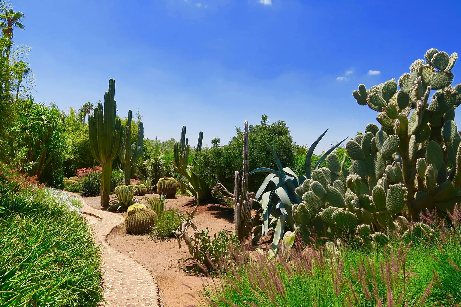 Jardin Anima : l'un des plus beaux jardins de Marrakech