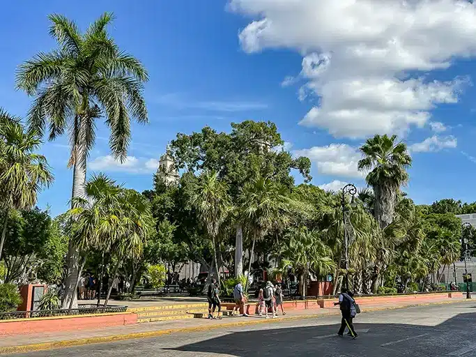 Visiter Mérida, capitale du Yucatan (Mexique) guide 2024
