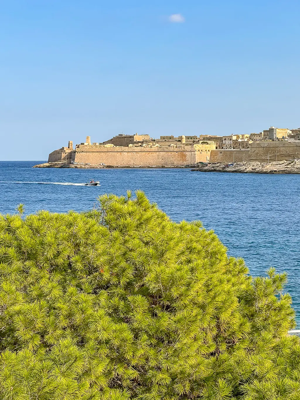 Vue sur la Valette depuis l'île Manoel