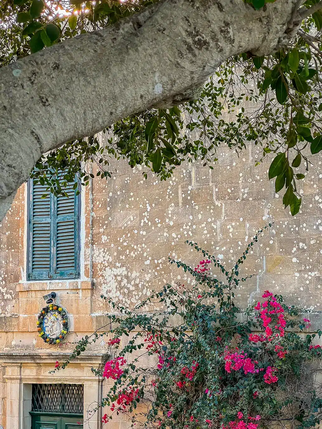 Visiter Malte en novembre ? Bonne idée ?