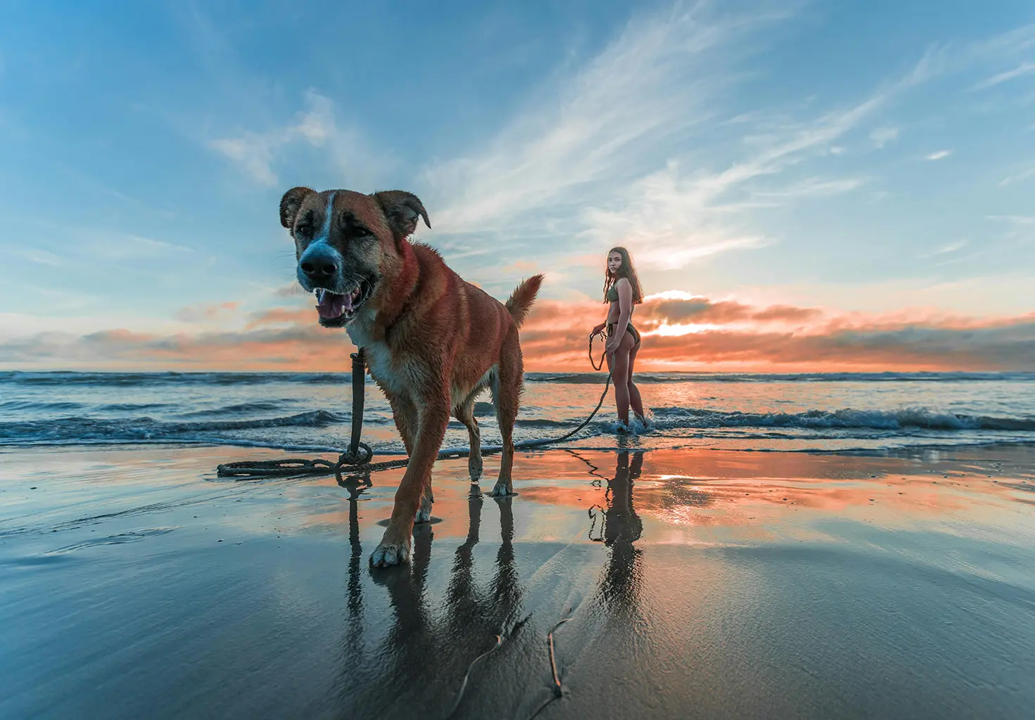 Les meilleures plages secrètes des États-Unis