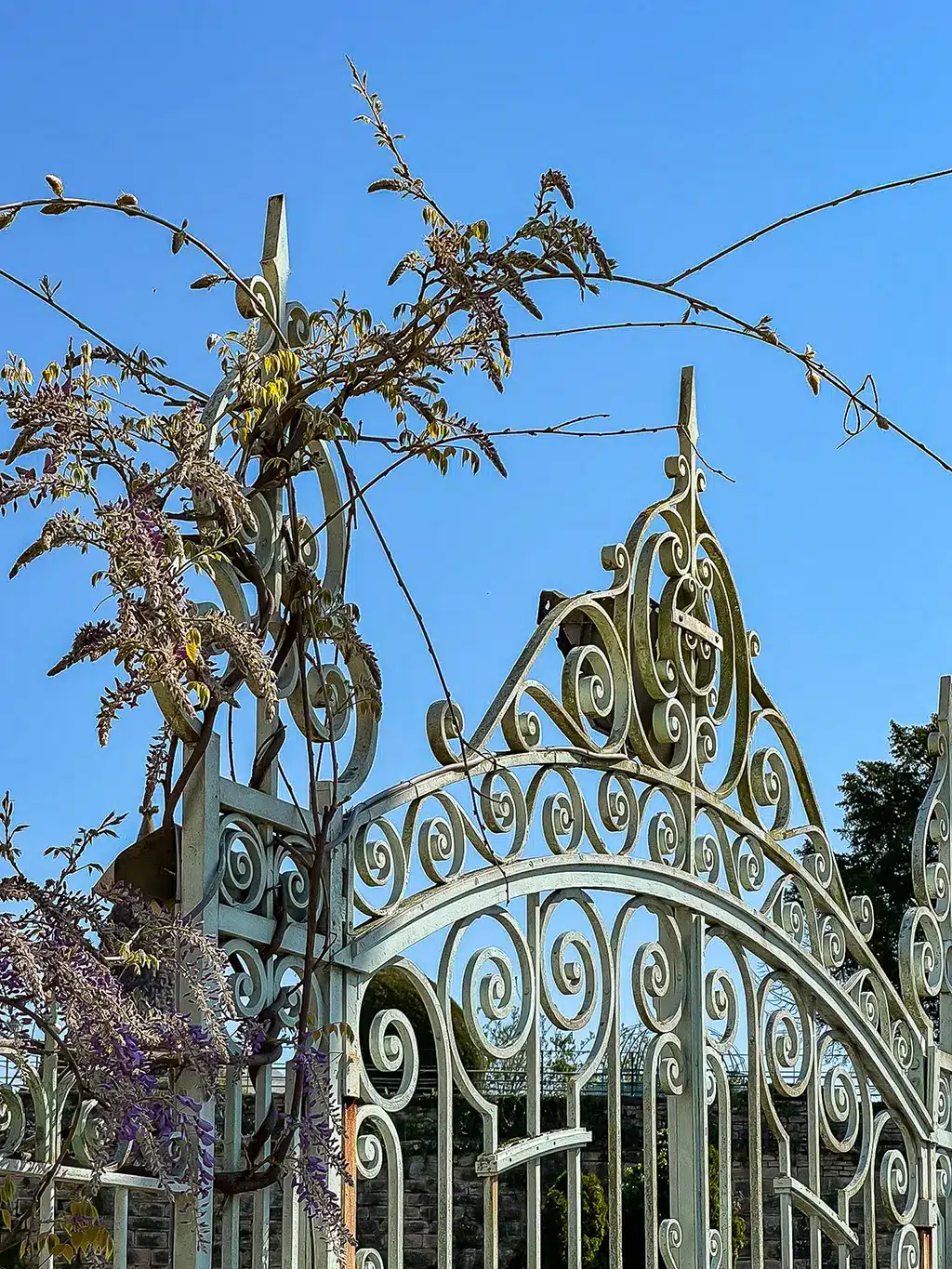 Que faire à Beaune ? Incontournables 2025 et itinéraire