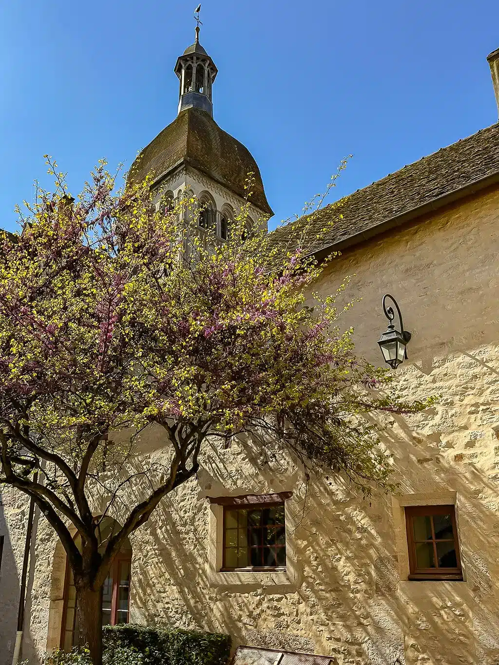 Que faire à Beaune ? Incontournables 2025 et itinéraire