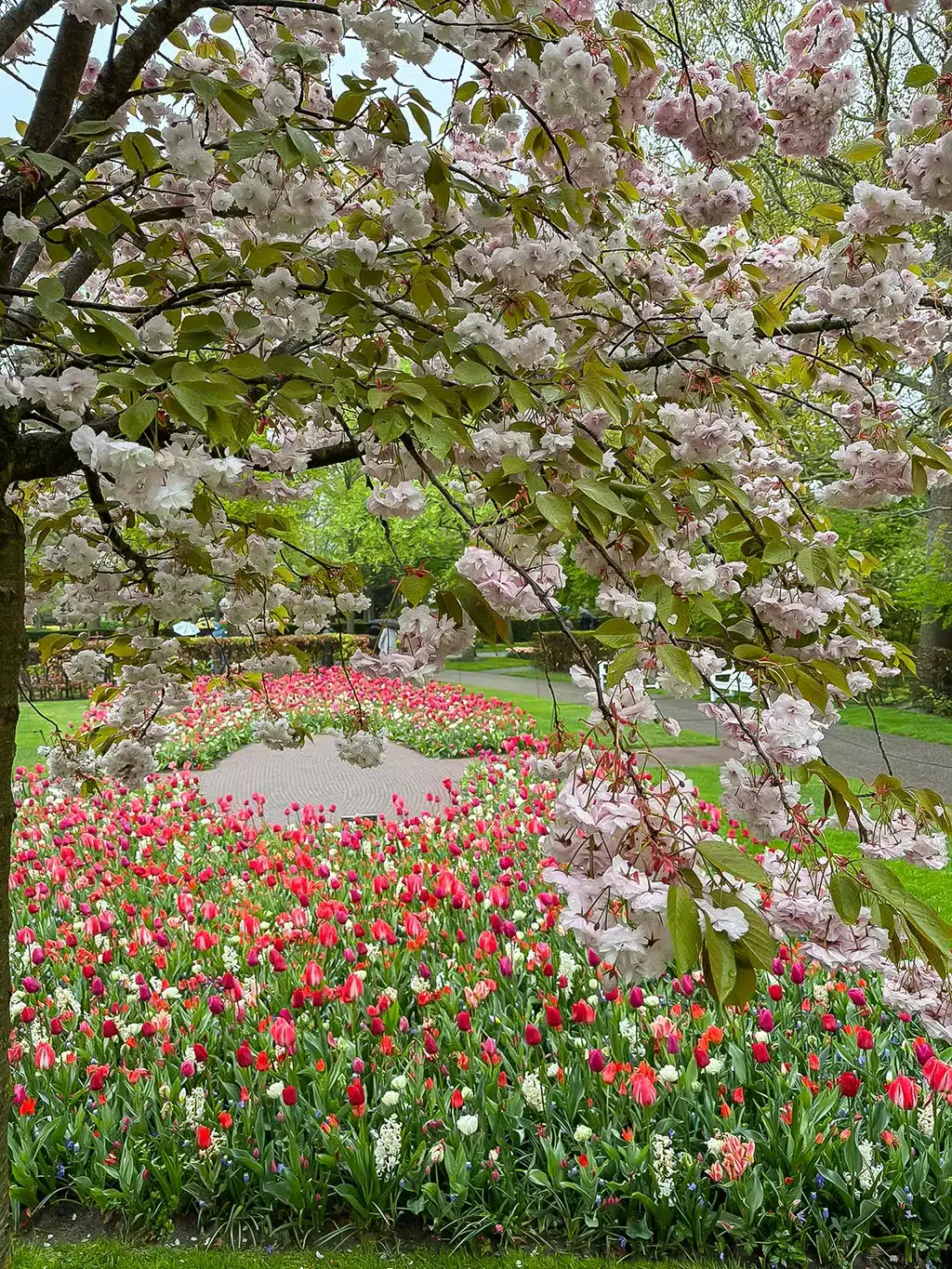 Keukenhof