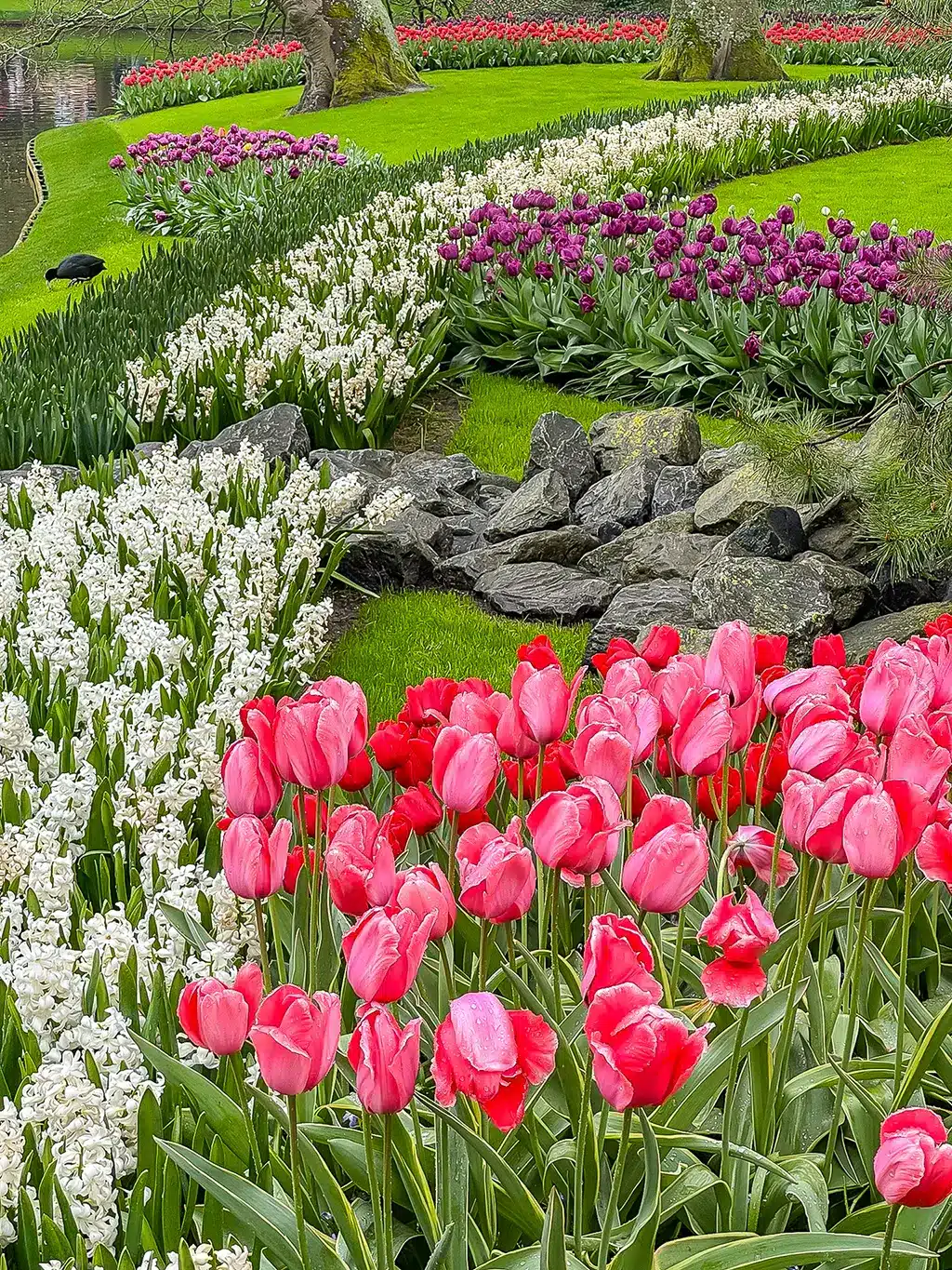 Keukenhof