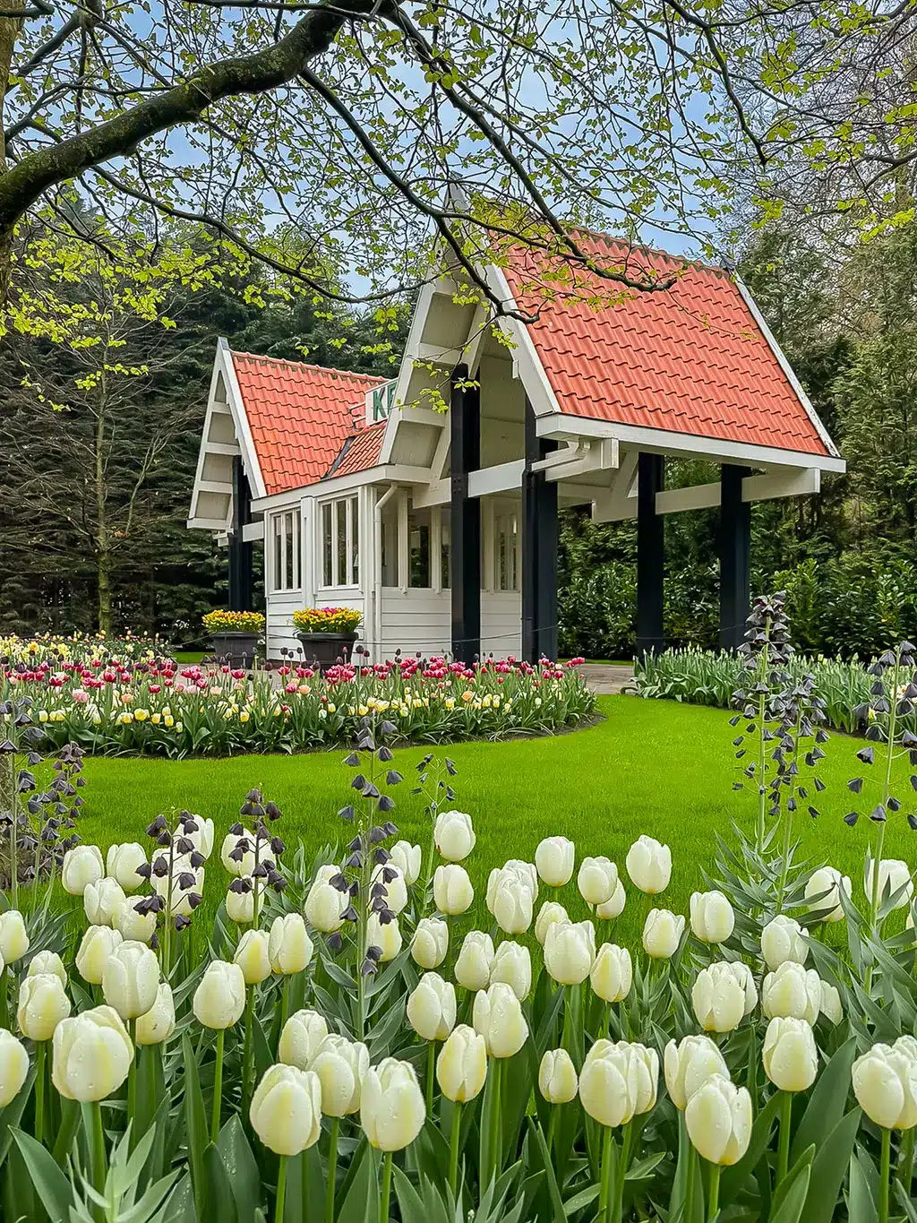 Visiter le parc de Keukenhof en 2025, le plus joli jardin au monde