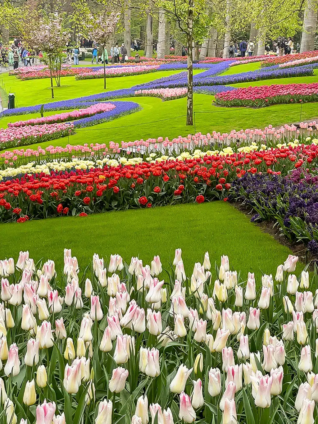 Keukenhof