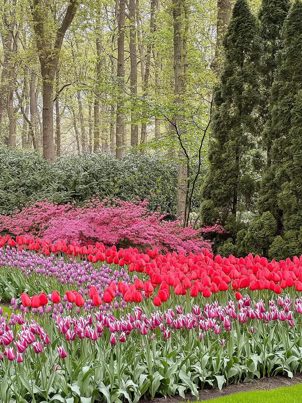 Keukenhof