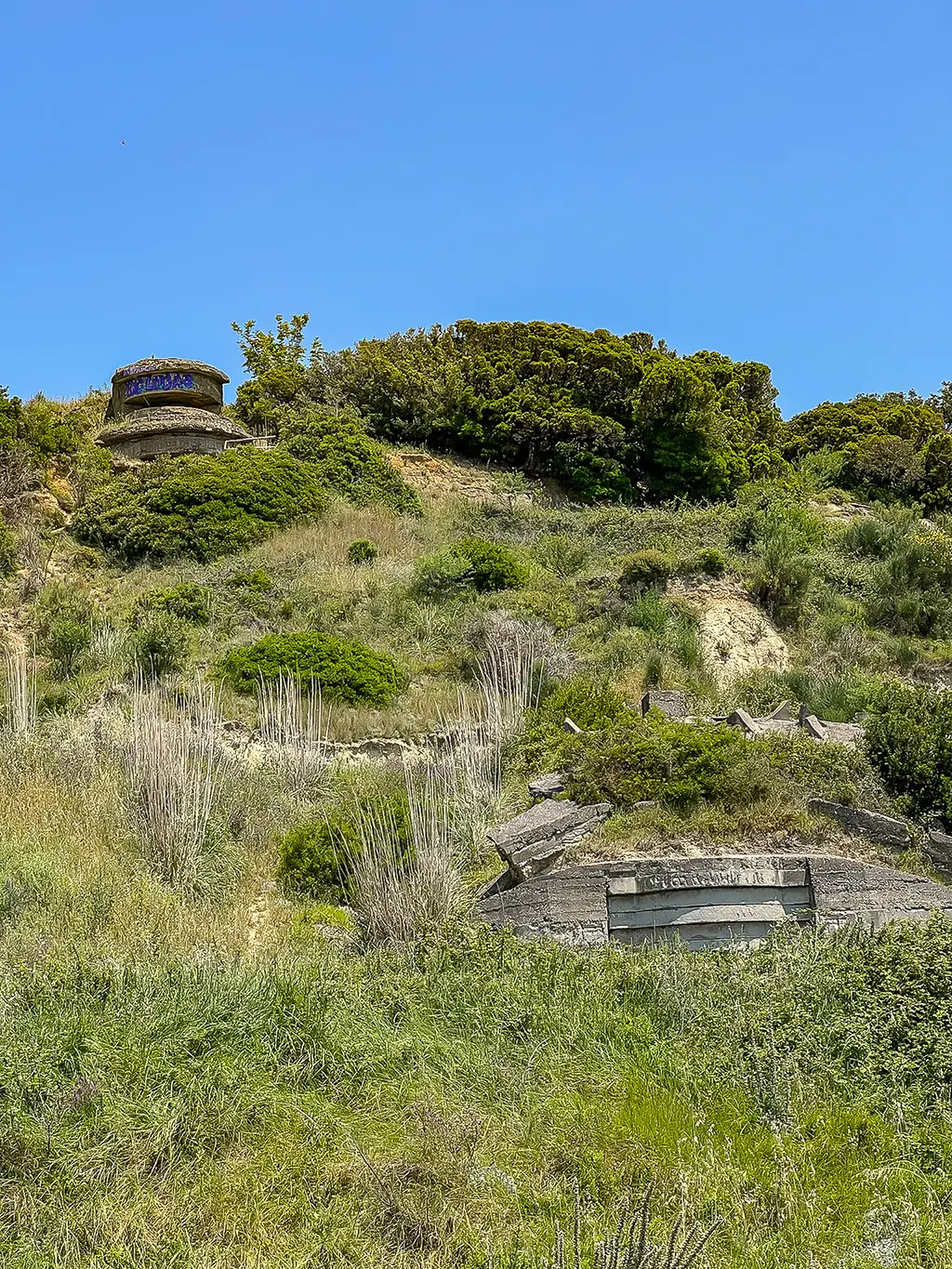 Cap Rodon (Kepi i Rodonit), Albanie : guide 2025