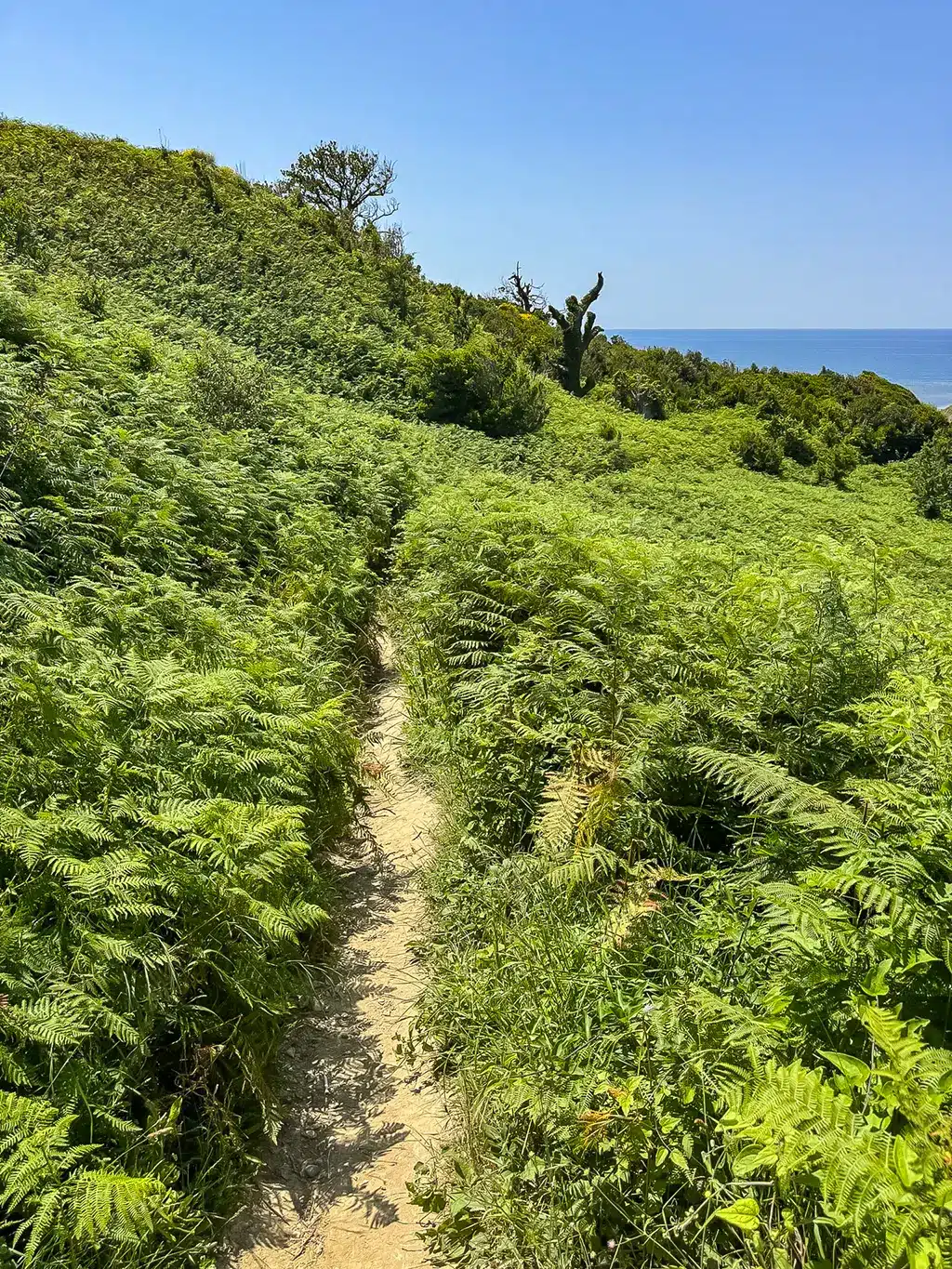 Sentier Kepi i Rodonit