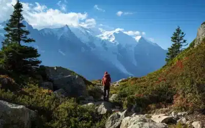 De l’océan aux sommets : quand le voyage prend de la hauteur