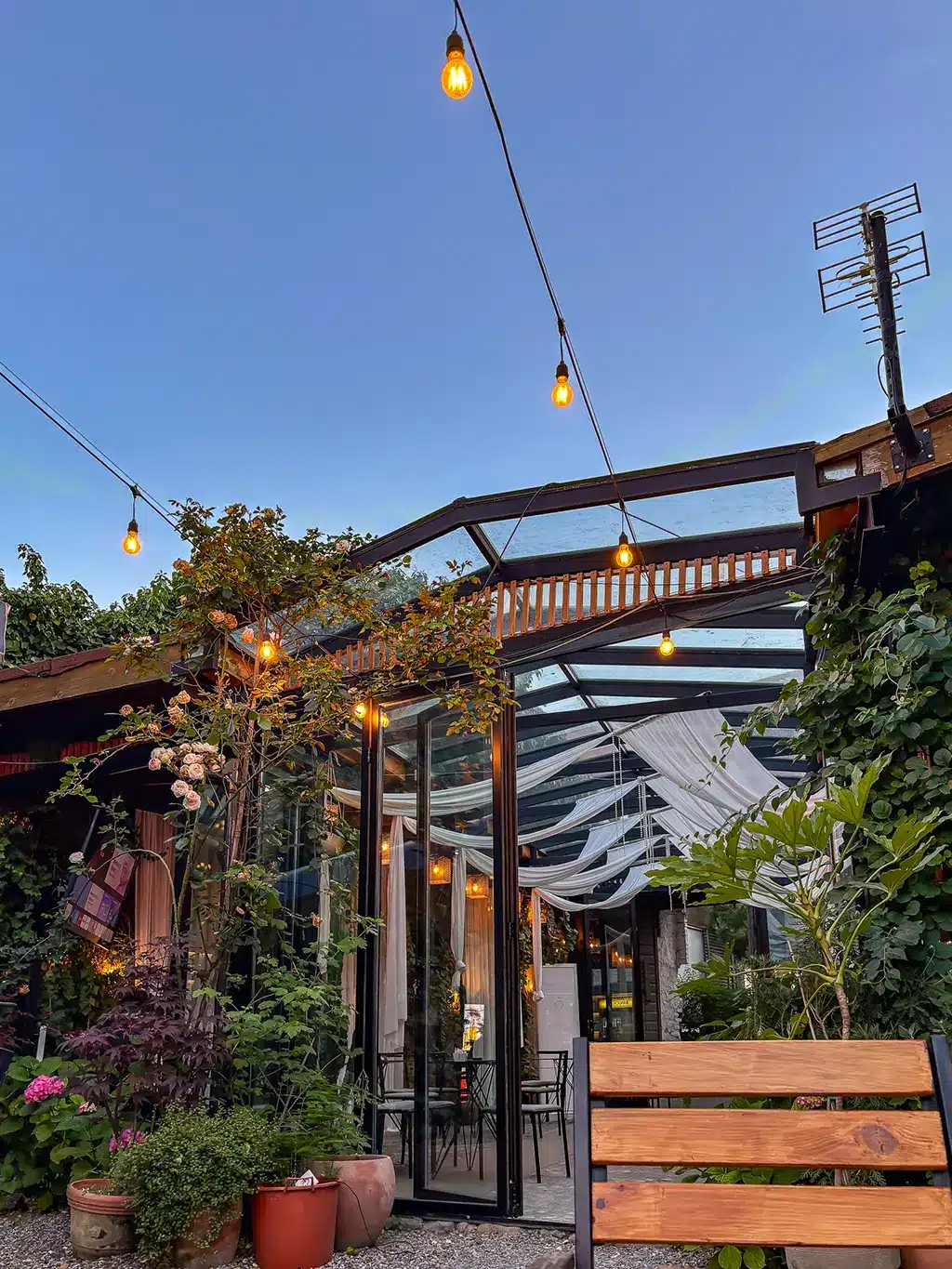 cafe à Shkoder