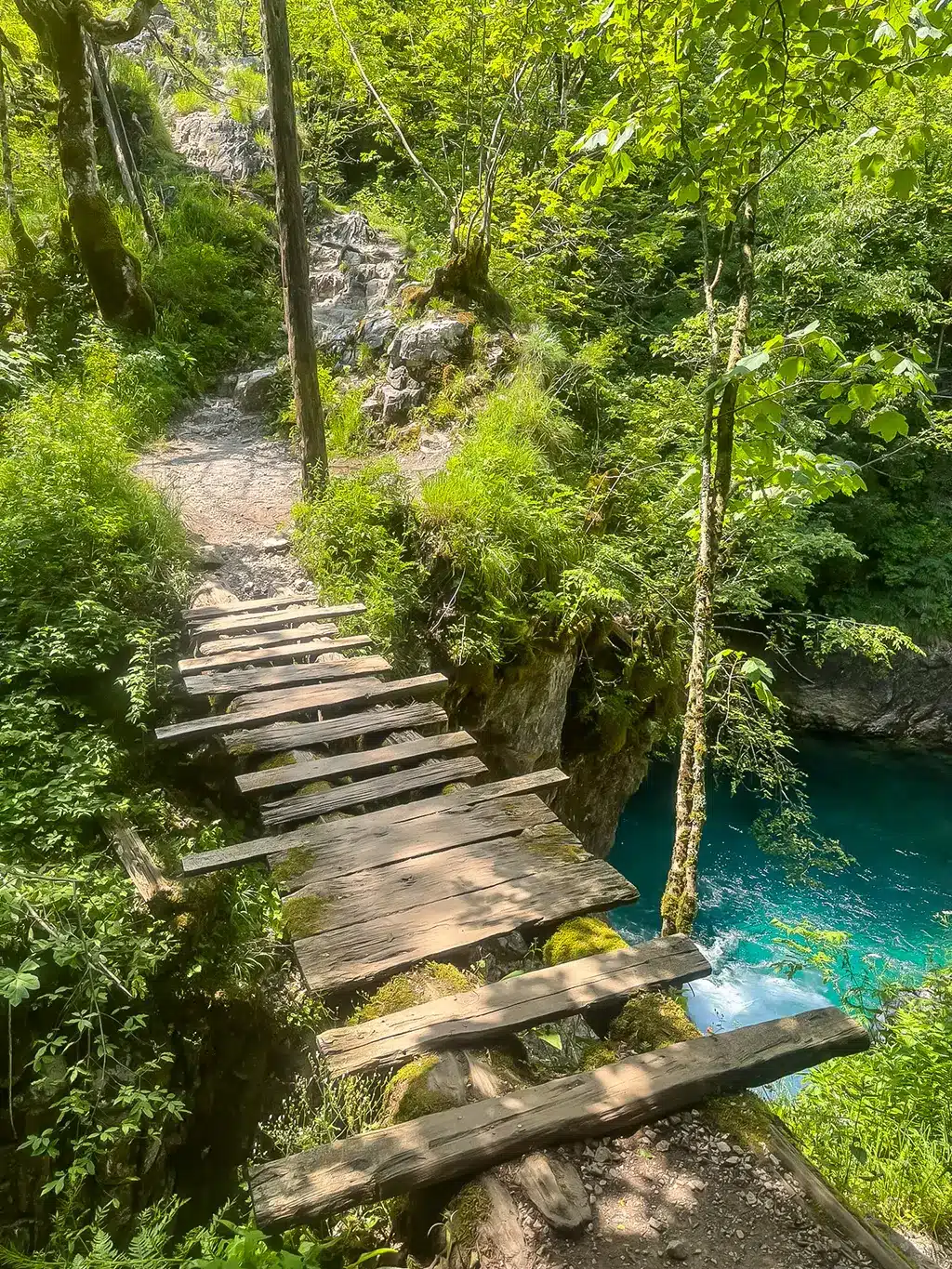 pont surplombant blue eye