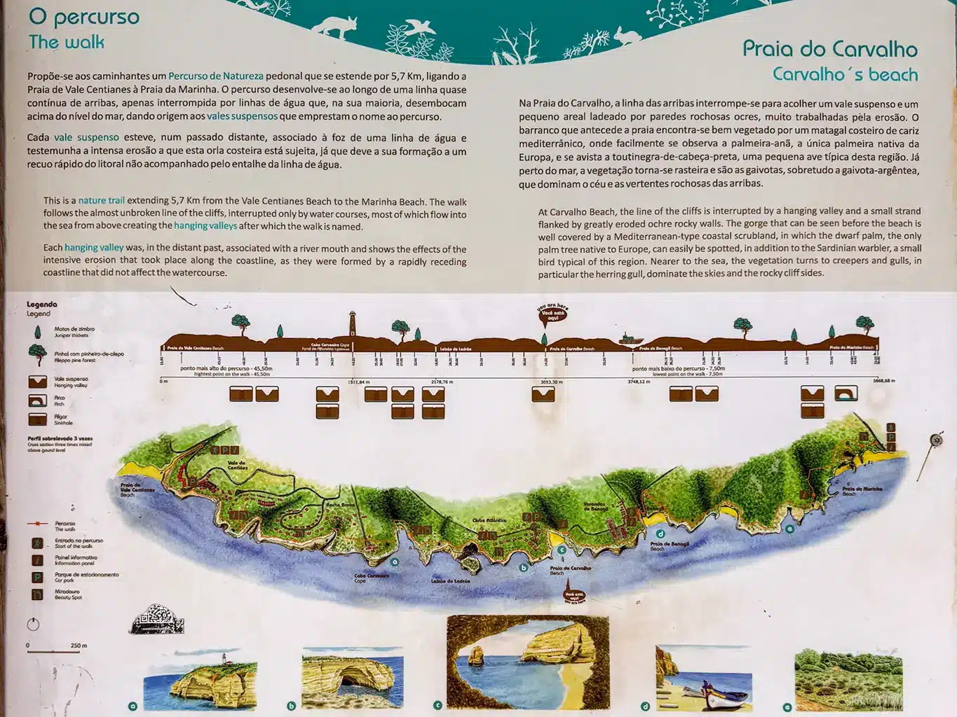 carte rando