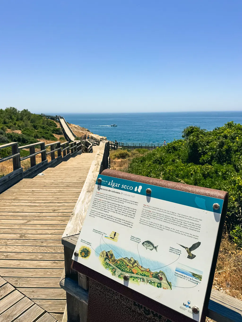 Carvoeiro algar seco