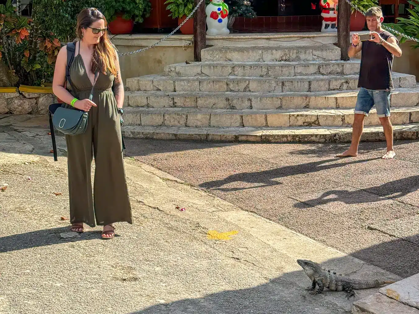iguane au Yucatan