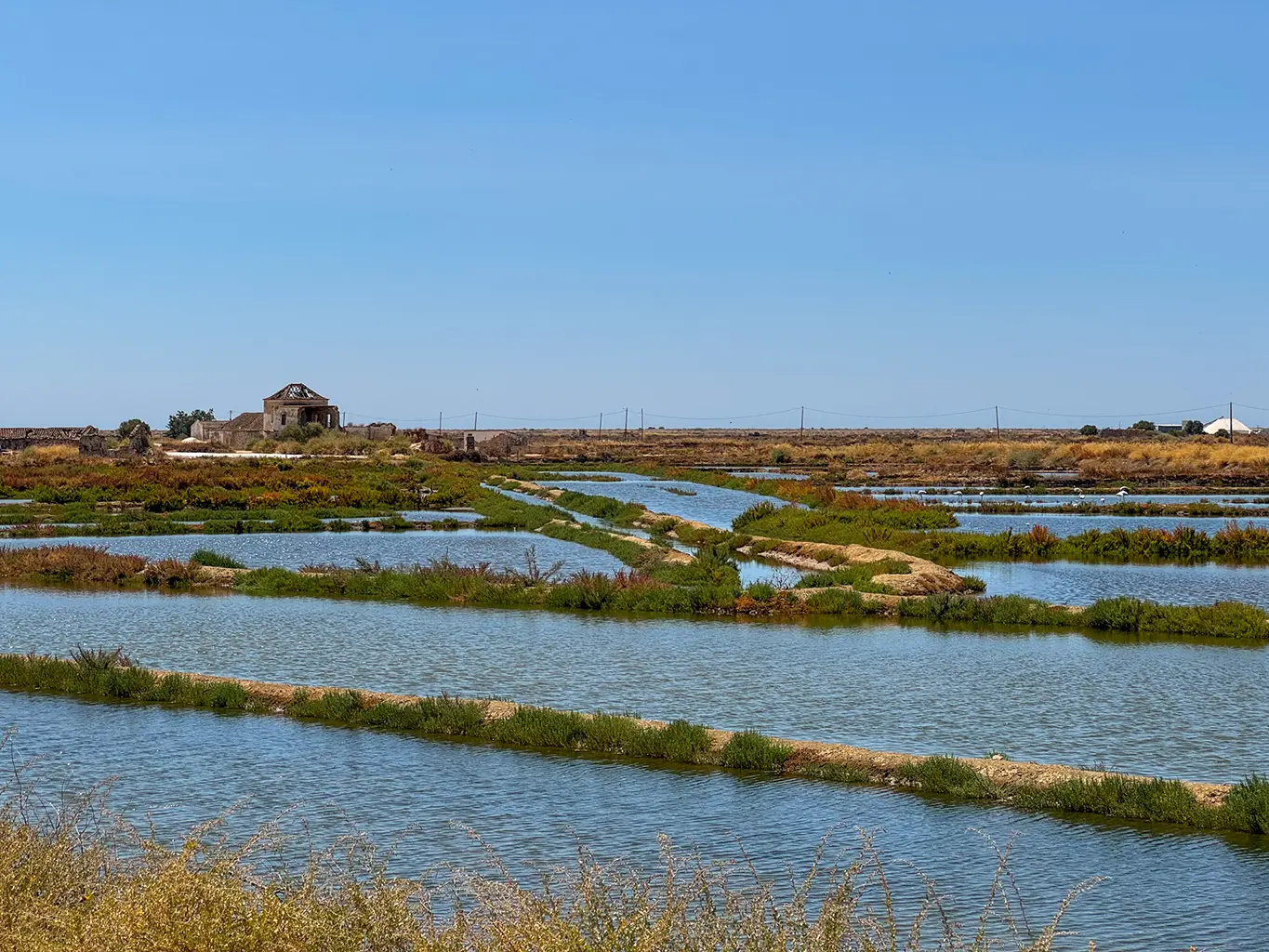 Ria Formosa