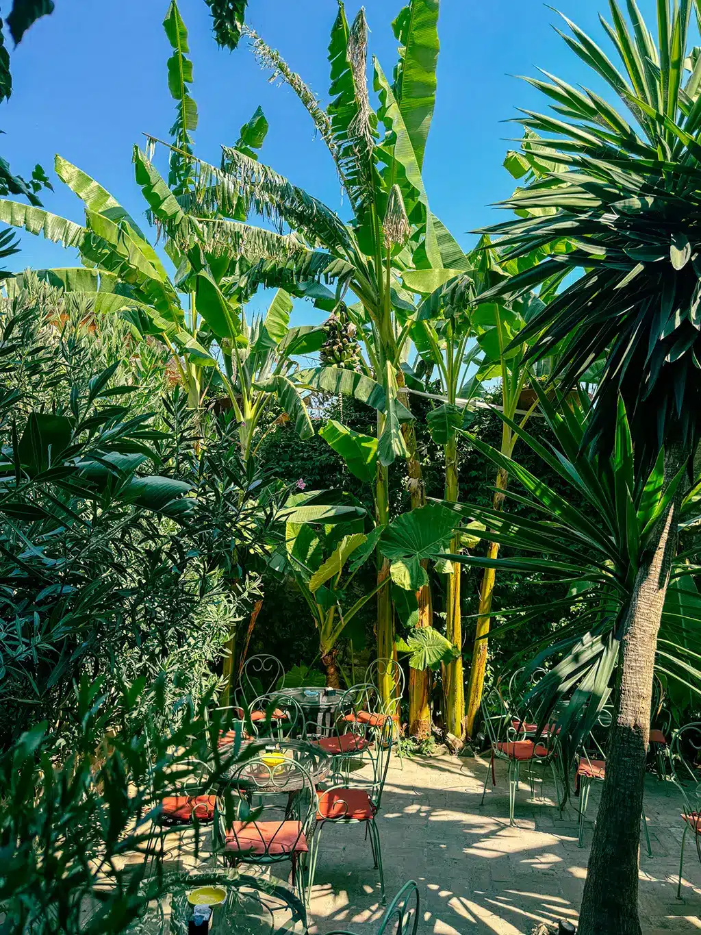café nature à Vlora