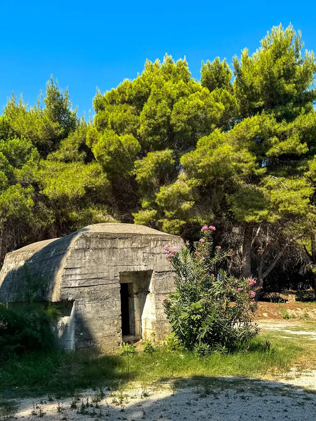 abri à Vloré
