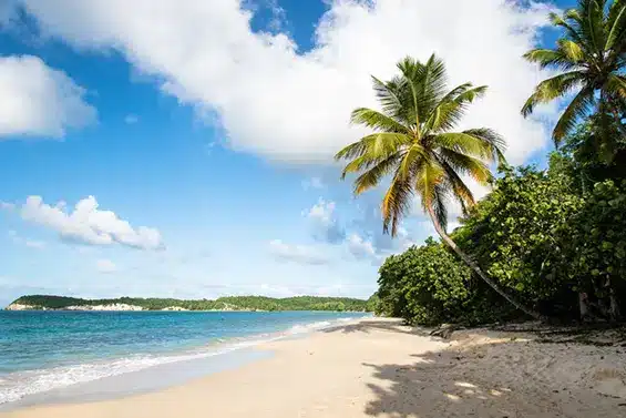 Voyage en mer aux Caraïbes : les plus belles destinations accessibles en bateau