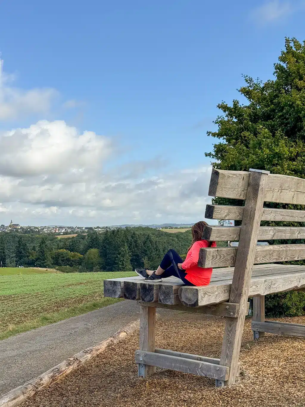 Visiter le pont suspendu de Geierlay : accès et conseils pratiques