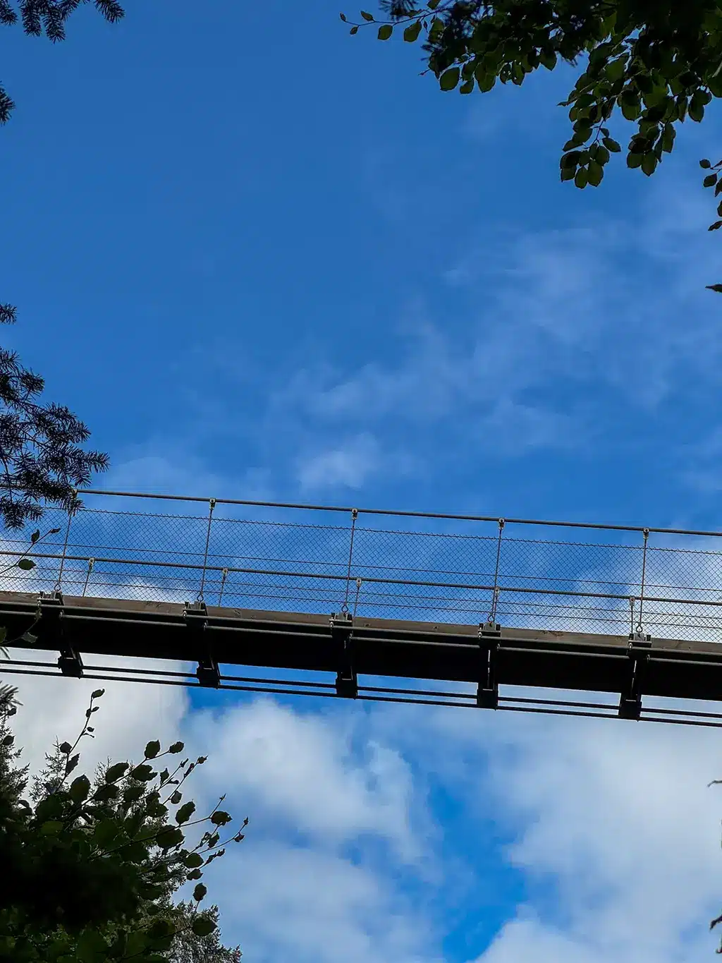 Visiter le pont suspendu de Geierlay : accès et conseils pratiques