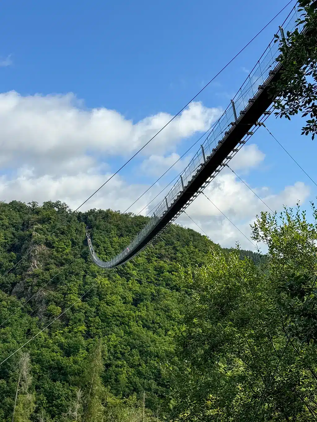 pont suspendu de Geierlay