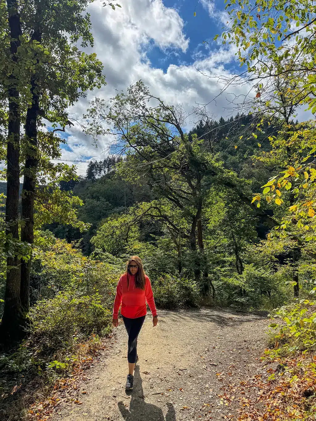 Visiter le pont suspendu de Geierlay : accès et conseils pratiques