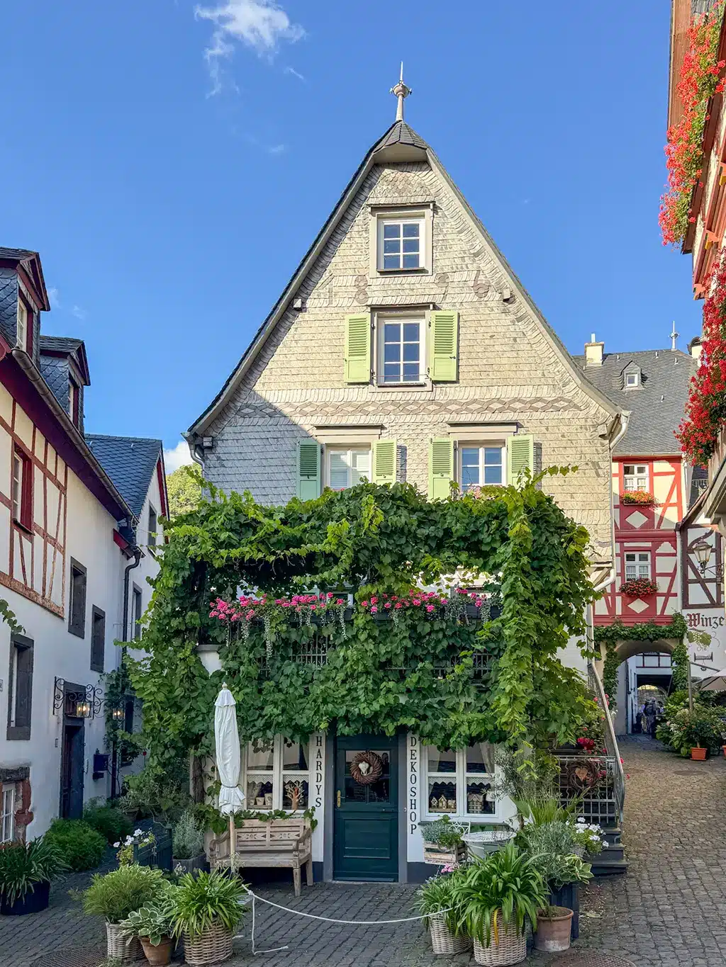 Van trip de 4 jours dans l’Eifel et en Moselle