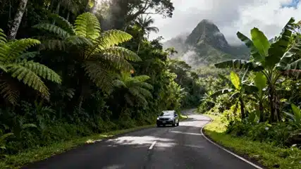 Martinique-roadtrip Road trip en Martinique : itinéraires conseillés pour 7 ou 10 jours