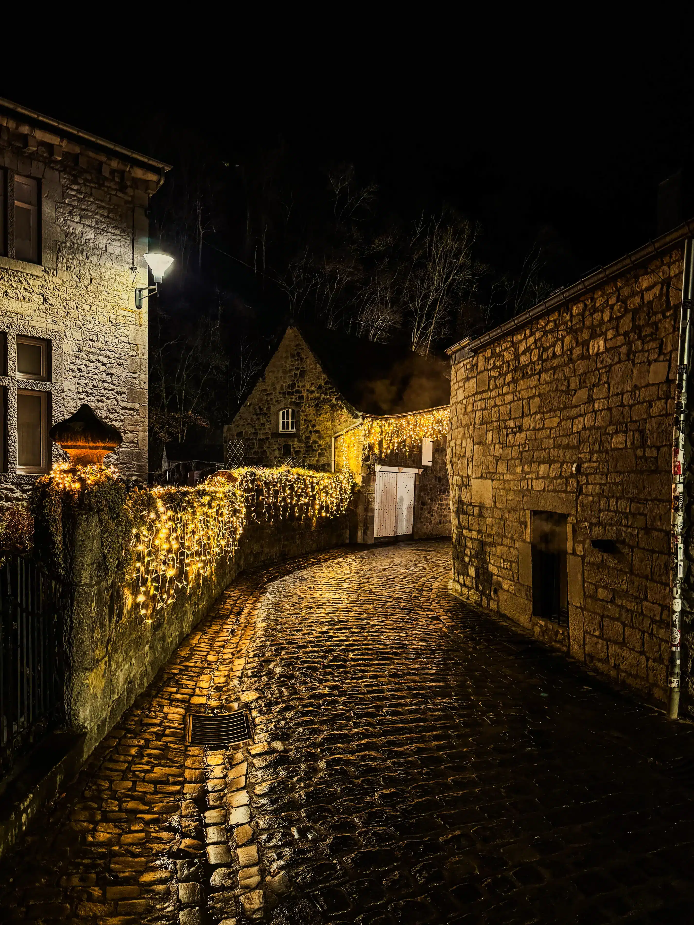 Wild Cube Durbuy : logement avec bain nordique au cœur de la nature